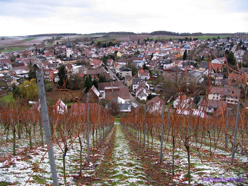 Burg Untergruppenbach (14)