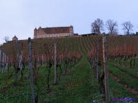 Burg Untergruppenbach (18)