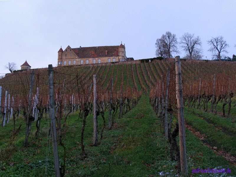 Burg Untergruppenbach (18)