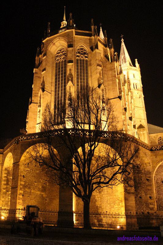 Dom Erfurt (28)