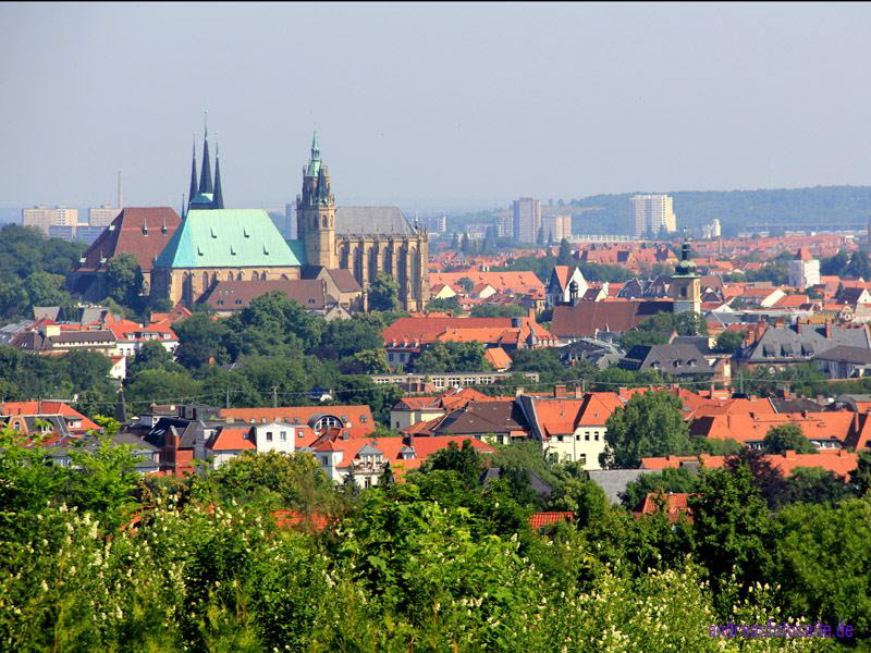 Dom Erfurt (9)