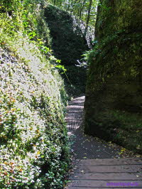 Drachenschlucht (4)