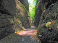Drachenschlucht (2)