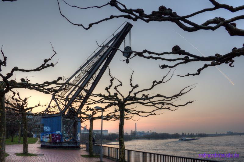 D�sseldorf 226_Enhancer_ShiftN