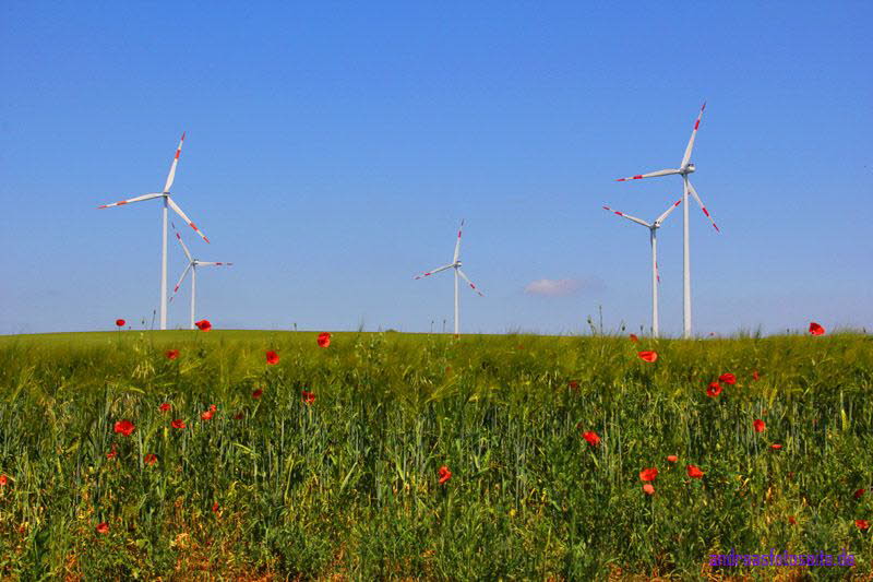 Windkraft