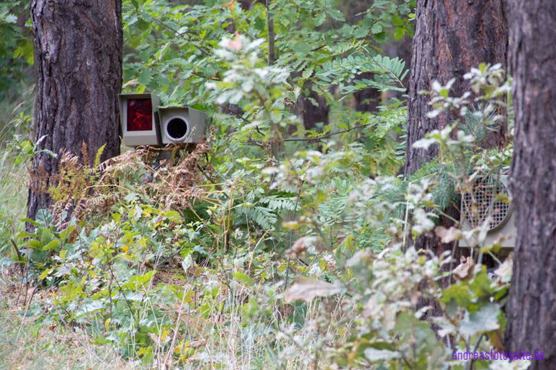 Frontfoto + Blitzlicht