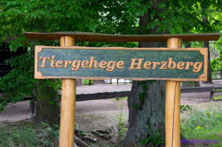 Schlo� Herzberg (14)