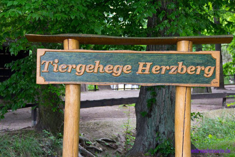 Schlo� Herzberg (14)