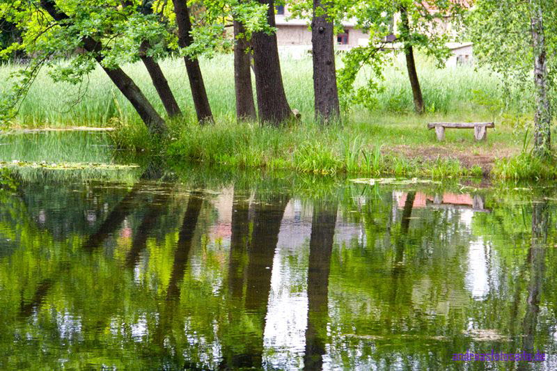 Schlo� Herzberg (3)