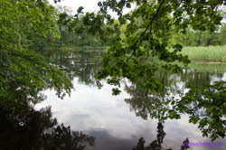 Schlo� Herzberg (7)