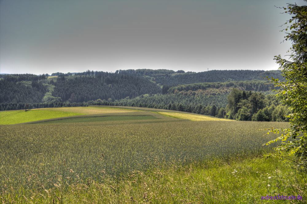Westerwald