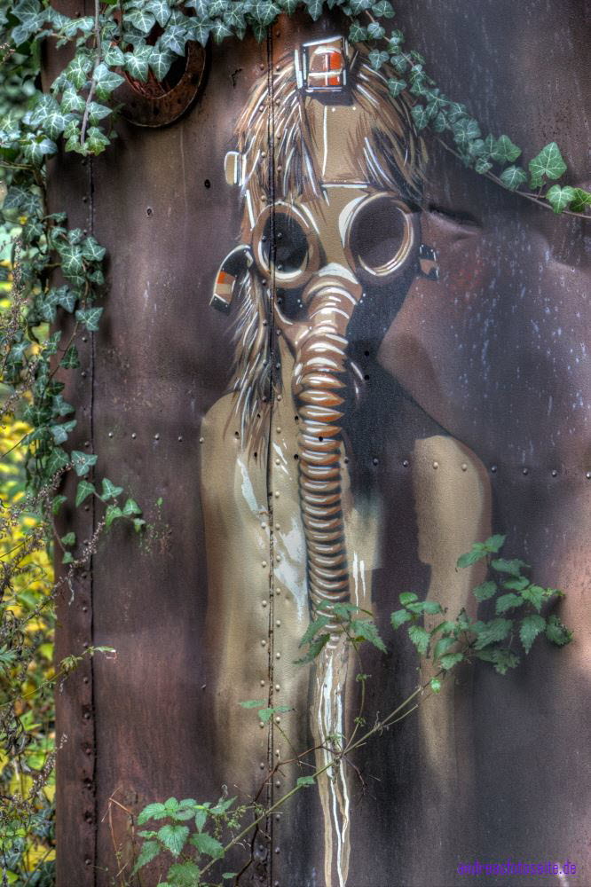 Alpenh./Frauenlungenheil