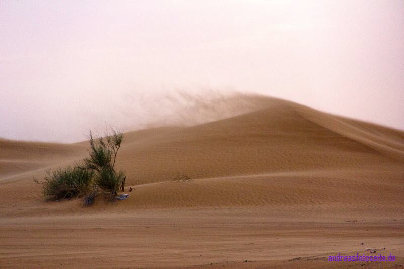 Dubai (418)